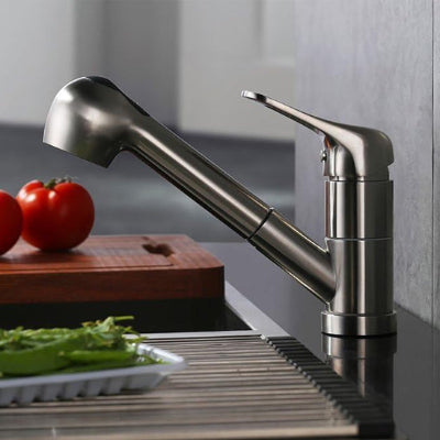 Robinet cuisine Ă tete extractable, deux tomates et legumes verts sur evier