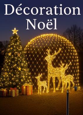 decoration-noel-rennes-sapin-neige