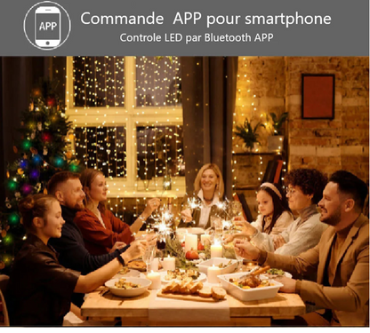 Guirlande de Noel