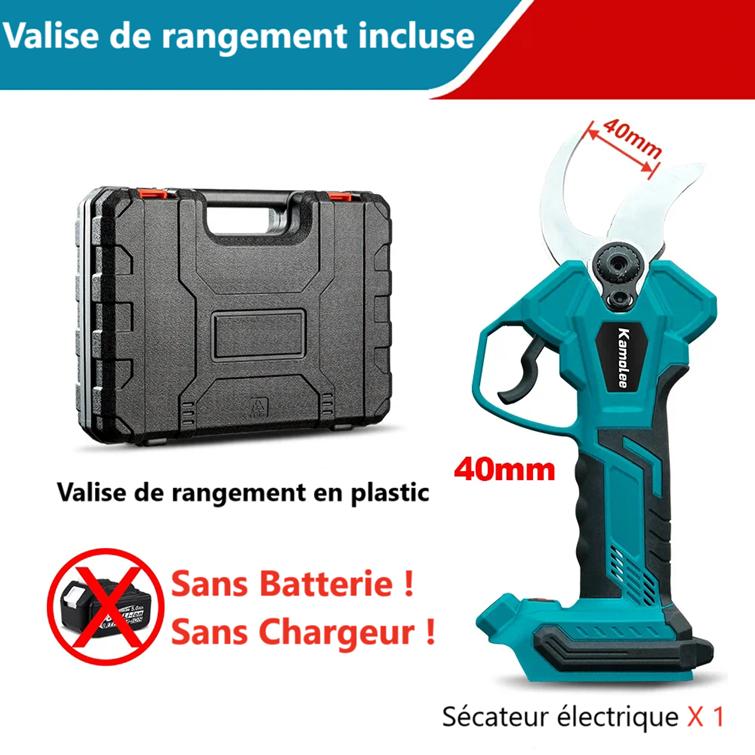 Sécateur électrique bleu et valise rangement noire