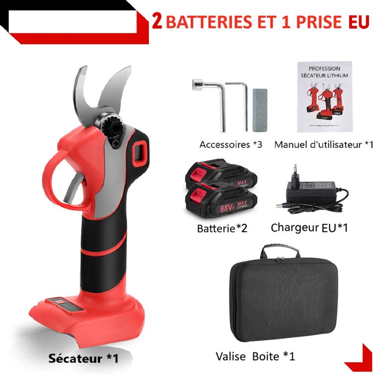 Secateur electrique rouge noir deux batteries prise valise noire accessoires