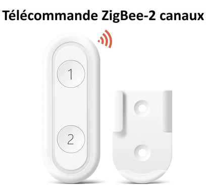 Interrupteur, télécommande Zigbee à deux boutons portable 