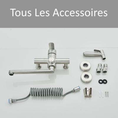 Les accessoires du Robinet de cuisine nickel avec douchette