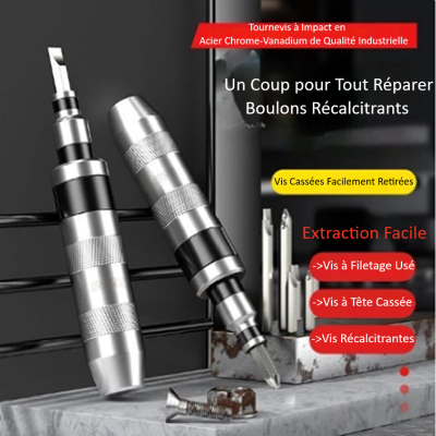 deux Tournevis a frapper , polyvalence,  tout pour réparer d'un coup