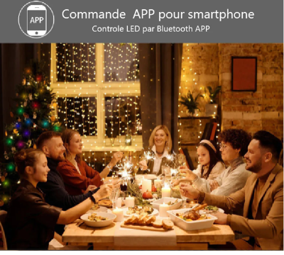 Famille autour table de repas de Noël décorée avec Guirlande de Noël