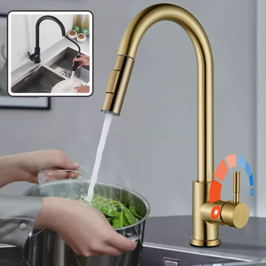  Femme lave salade verte avec le Robinet cuisine doré 