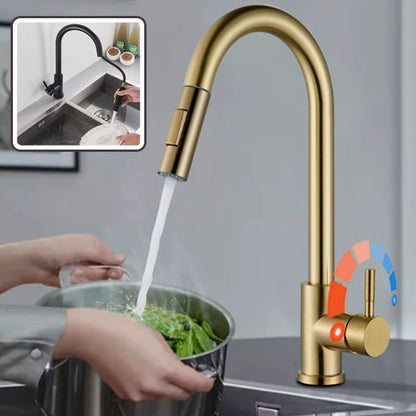  Femme lave salade verte avec le Robinet cuisine doré 