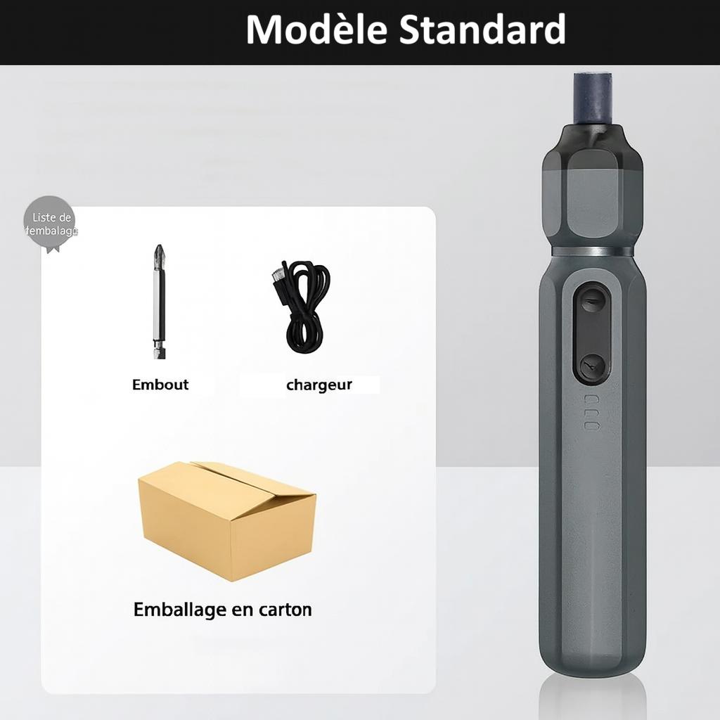 Modèle standard Tournevis electrique , embout, chargeur, emballage carton