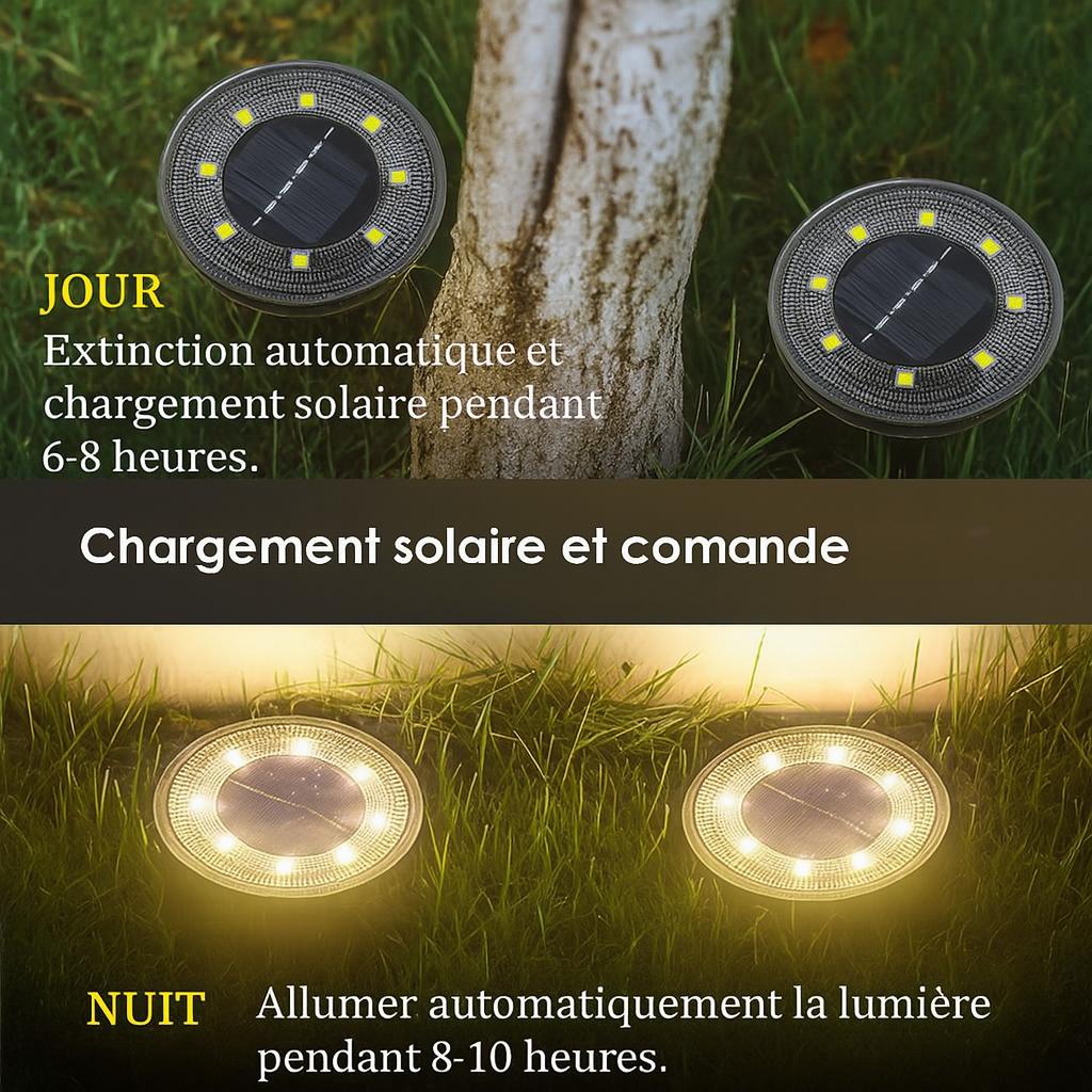 Quatre Lampe solaire exterieur , deux allumées autour d'un arbre dans le jardin, sur le gazon