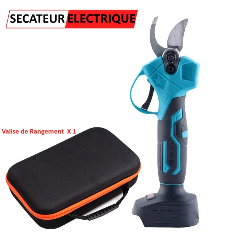 secateur electrique sans fil avec valise de rangement