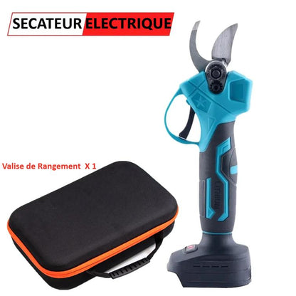 secateur electrique sans fil avec valise de rangement