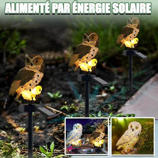 trois Lampe solaire extérieur chouette marron et jaunes , sur panneaux solairs ,Éclairage LED dans le jardin verdoyant  la nuit,alimentation par energie solaire